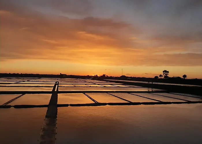 Love' In - Blanc Aveiro